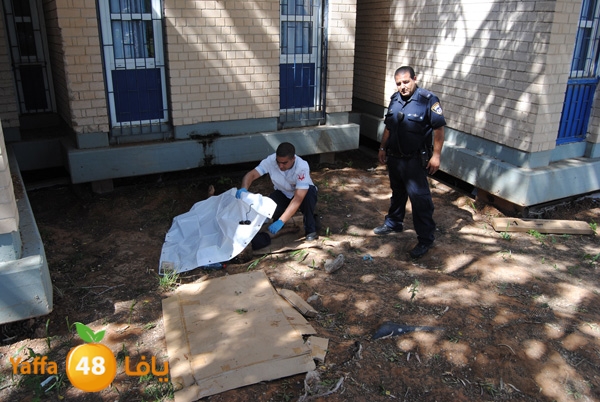 jotha dead yaffa 701 (14).JPG